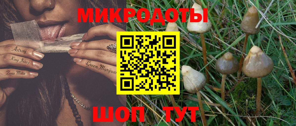 Казань  Галлюциногенные грибы ЛСД  Вход с VPN  Галлюциногенные грибы мицелий 