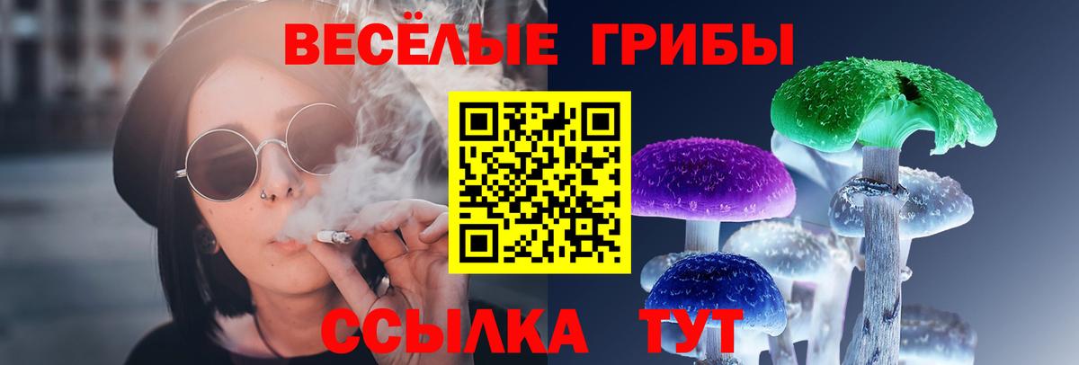 Галлюциногенные грибы Psilocybine cubensis Казань